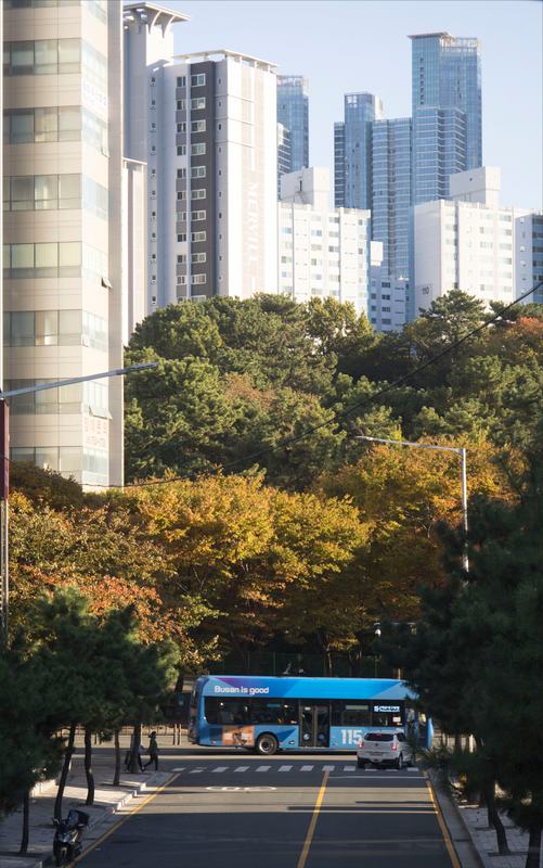 고층 아파트와 단풍 든 가로수 사이 도로를 지나가는 파란 버스
